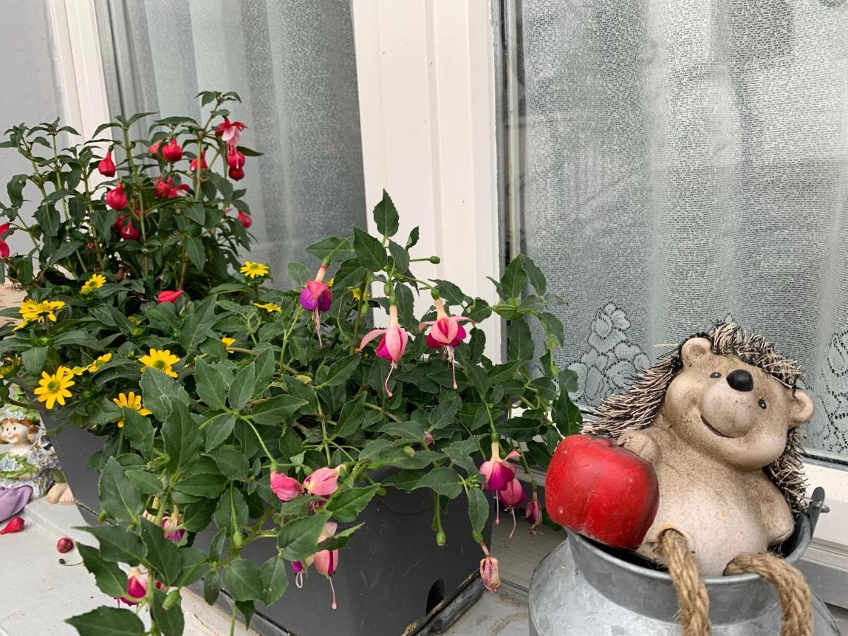 Pension Chalet Charme Siebnen Dış mekan fotoğraf